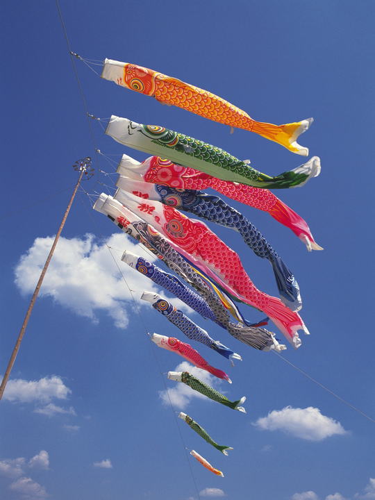 �q���̐������肤�s���͑�؂ł�